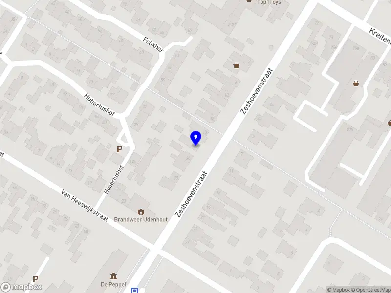 Haans - bestuur, management en advies