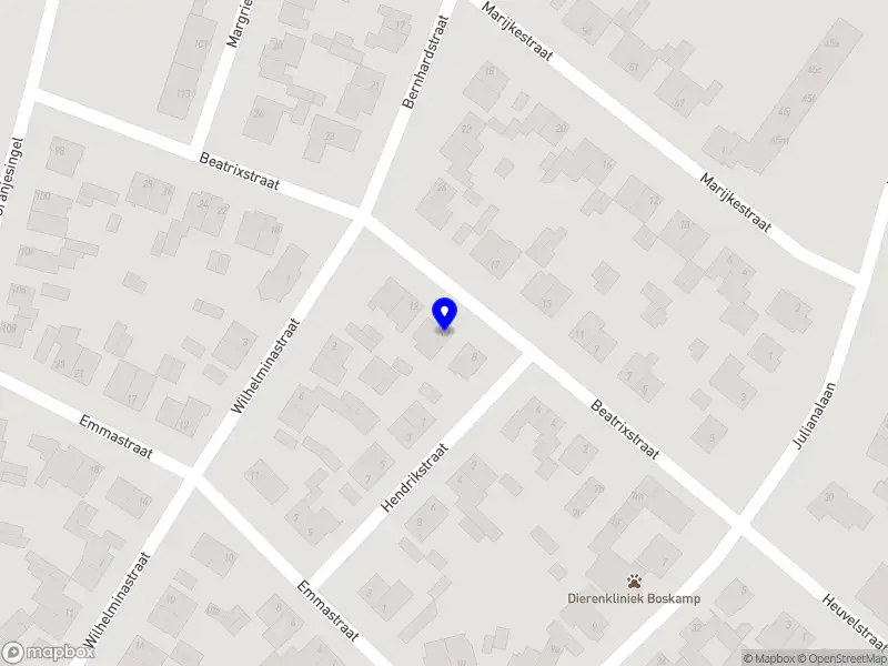 Jesse Cuijpers Triathleet