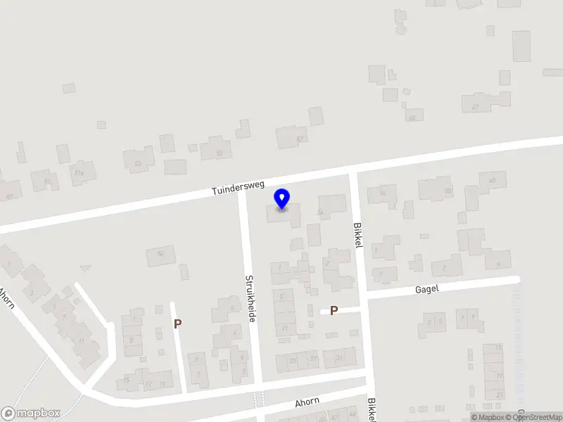 Joris van den Wildenberg