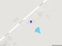 Tom Bachmann Ecological Consulting