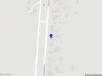 Intouch kynologische massage