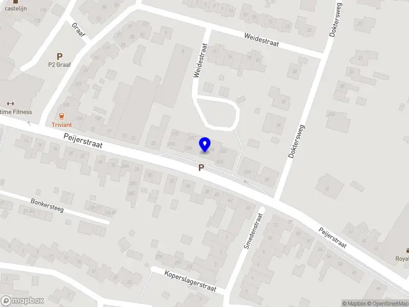 The Blackbird Hollow