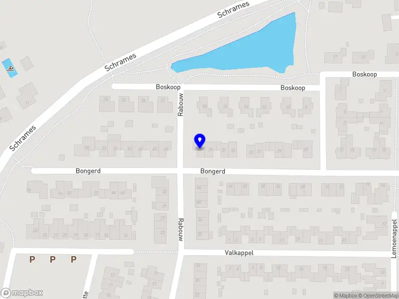 Steven Active Constructor