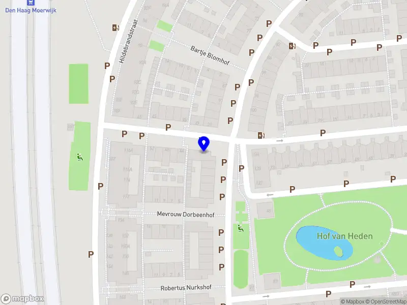 IQ Coach Natascha Ramnath