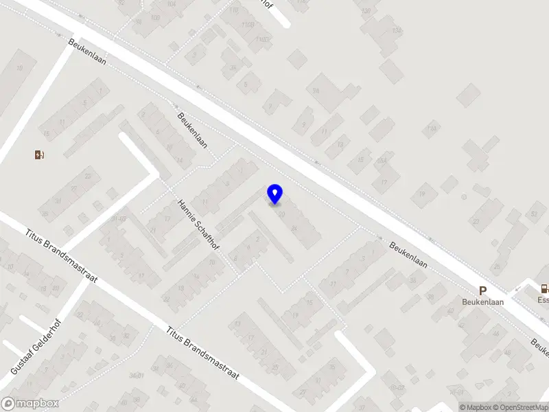 Huisman Psychologie