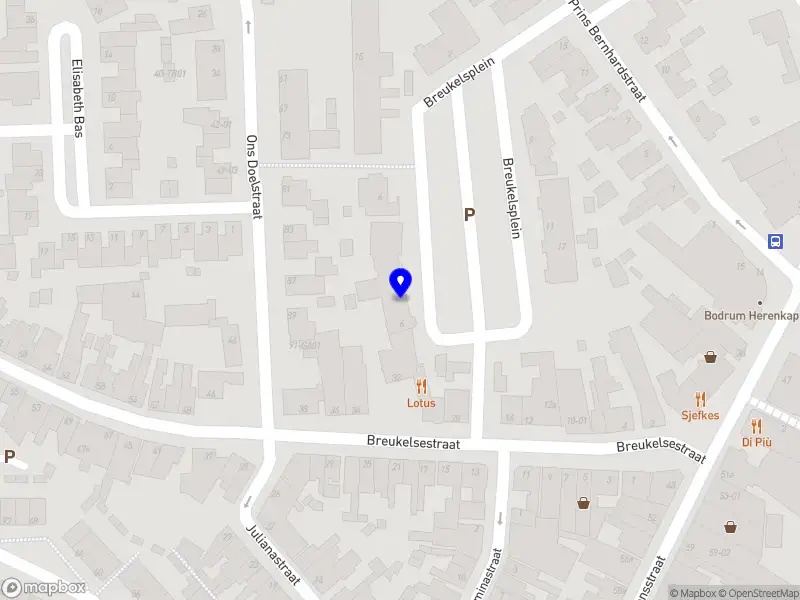 Podotherapie Boxtel B.V.