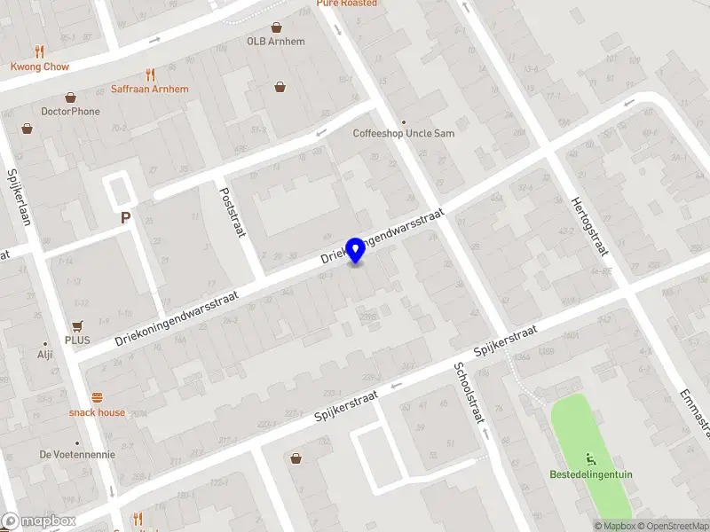 Bruinviz