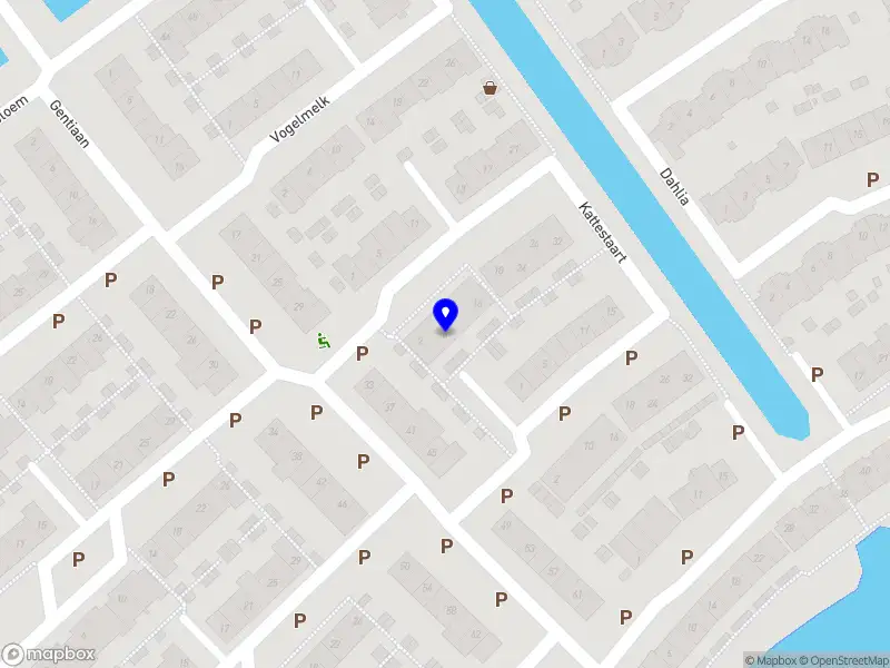 Groei in kracht