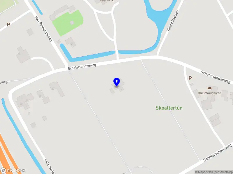 Breinwoudcoaching