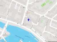 The Loose Goose
