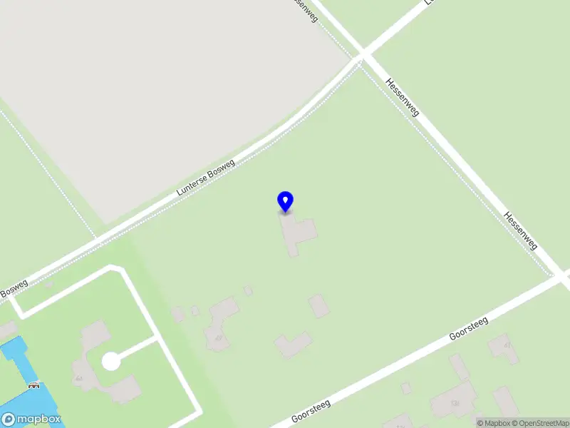 Beauté des Camélia’s