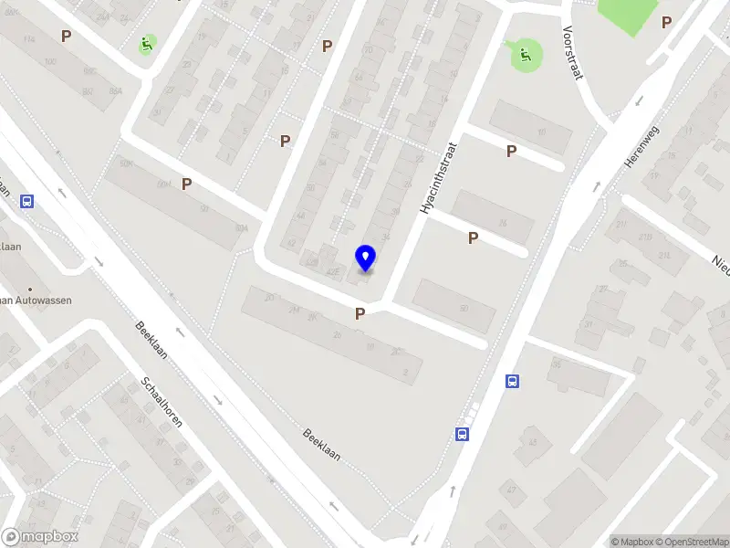 Hoveniersbedrijf Nieuwenhuizen