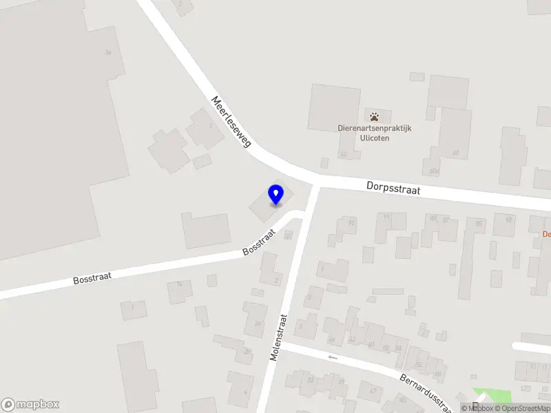 Ilse Harings - HR expertise