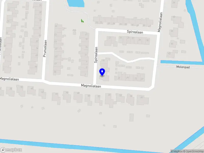 Van Sprang Consultancy