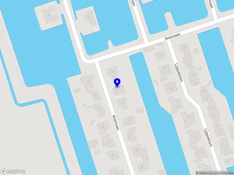 Expert coaching & advies