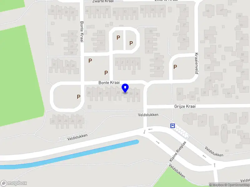 Zwaluw Coaching voor mens & ontwikkeling