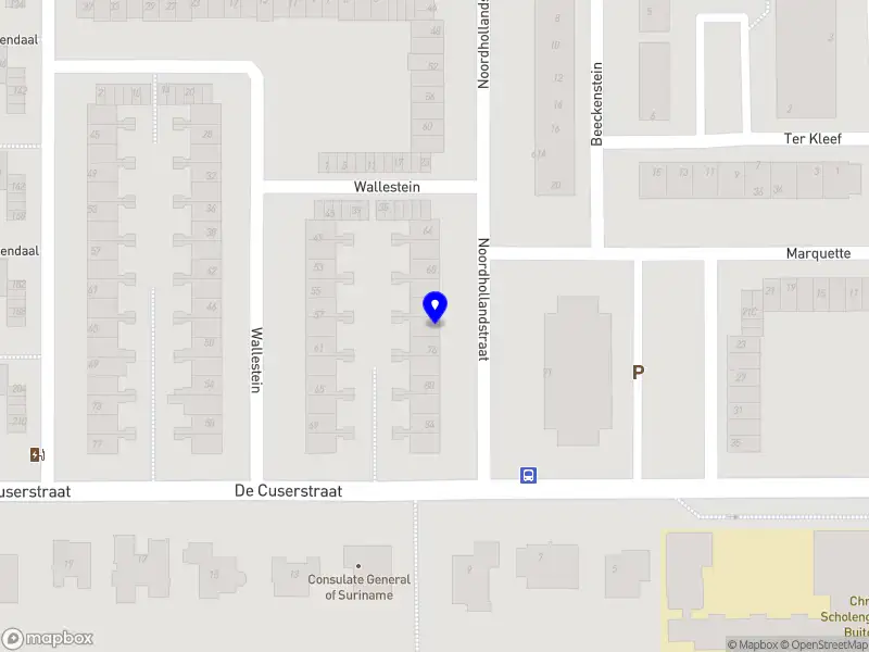 Opleider Rekenen, Rekendidacticus