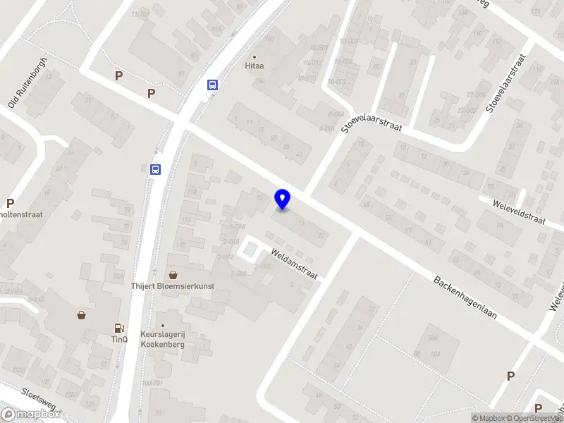 Nora Asatryan Tolken