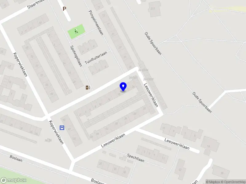 Stichting Domstad Voetbal