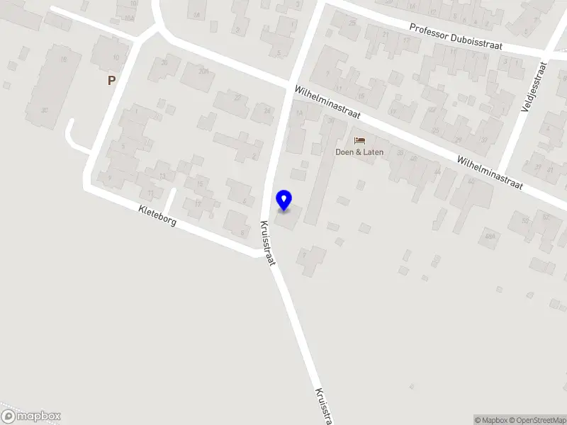 Frits van Merode Advies en Organisatie