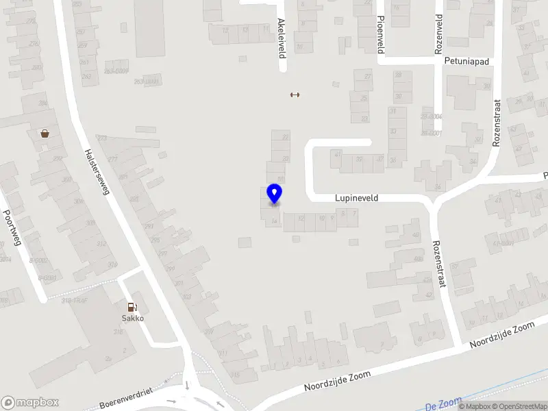 Dutch Dragon Prints (DDP)