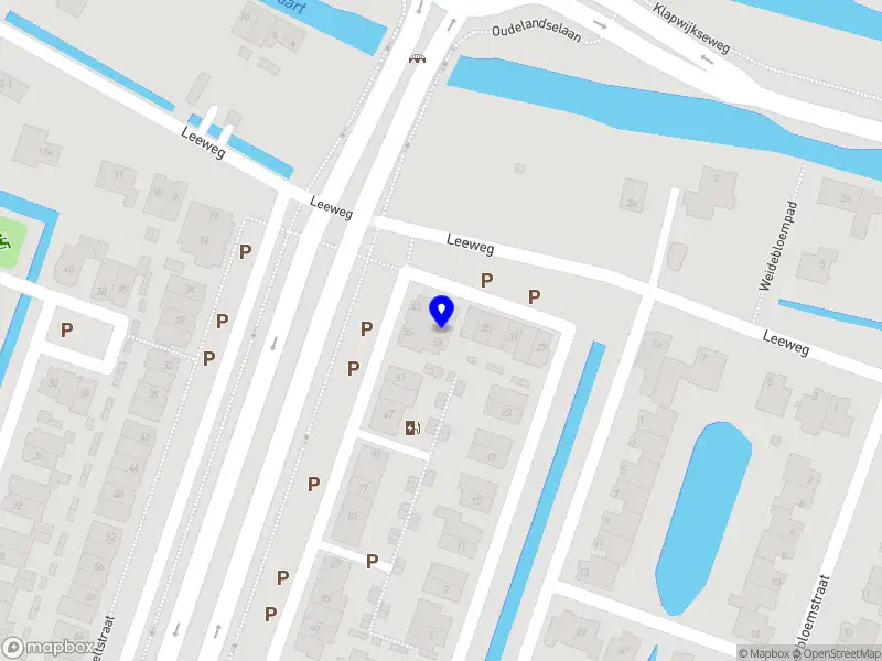 M.C.H. de Raat thodn Bram Ladage Verse Patat