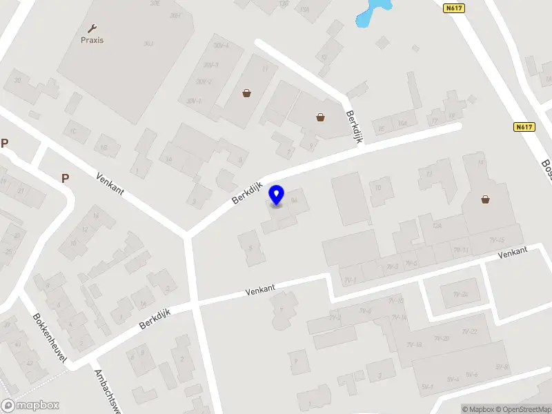 Lucien Schuurmans Auto's