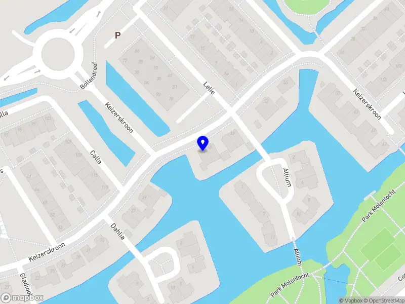 Mantelzorg Bollenstreek