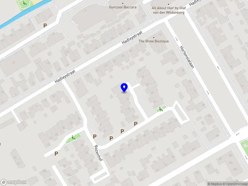 Karin Loogman Interim Manager