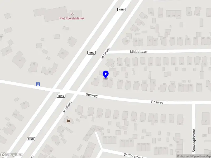 Dieuwertje Valentijn