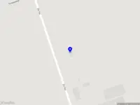 Manders Boomverzorging