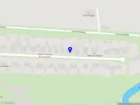 Marleen Schut International