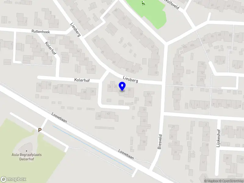 BRIX Performance & Health