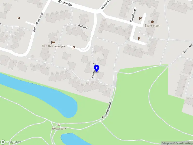 Nieuw bedrijf RJPvT Advies B.V.