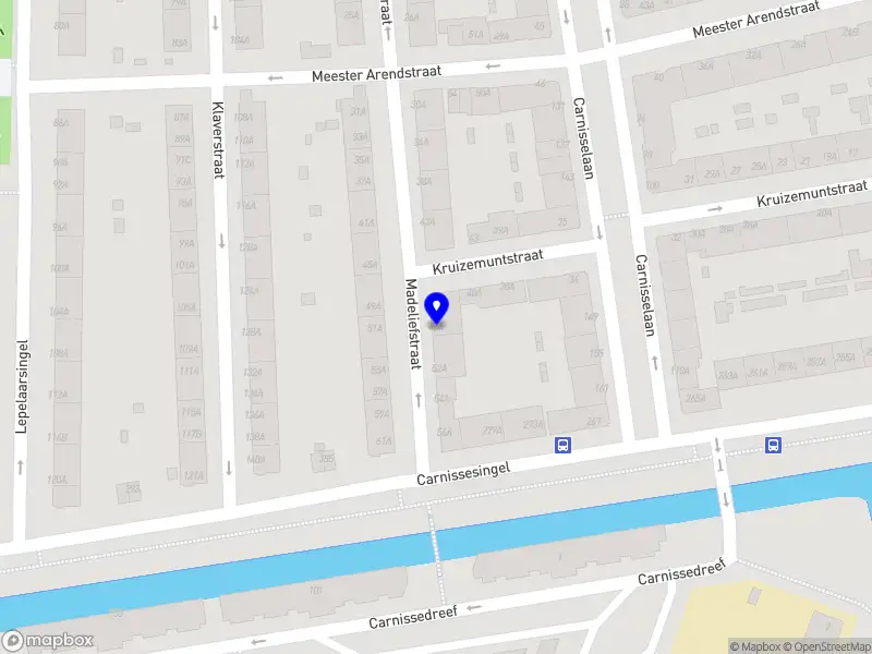 Limpieza Diamante Liz