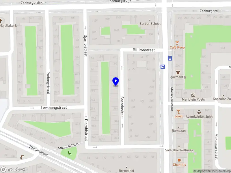 Martina Procesbegeleiding