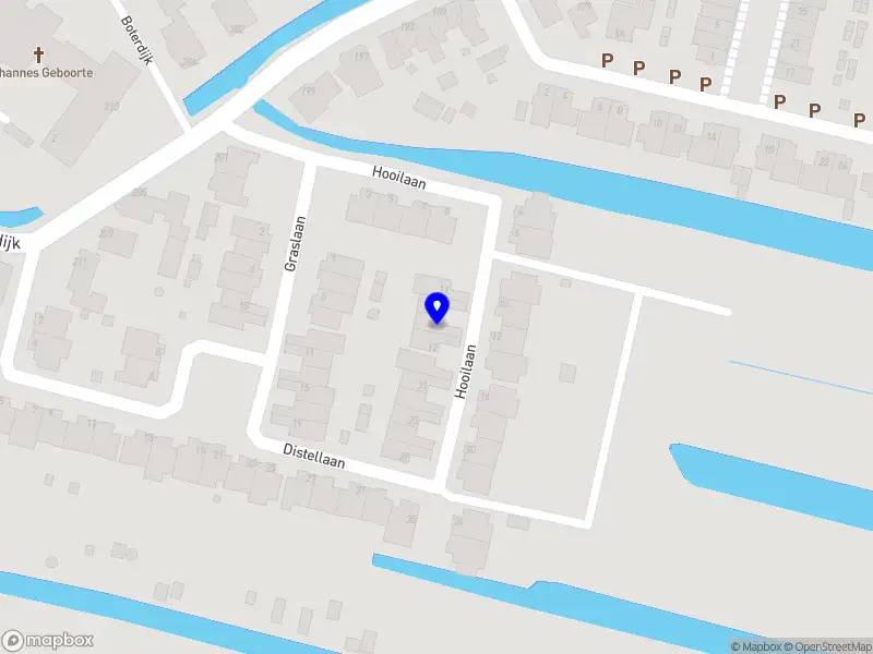 Mentorschap Annemiek de Voogd