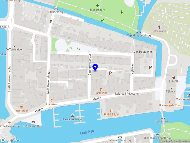 Mahara Social Research Consulting