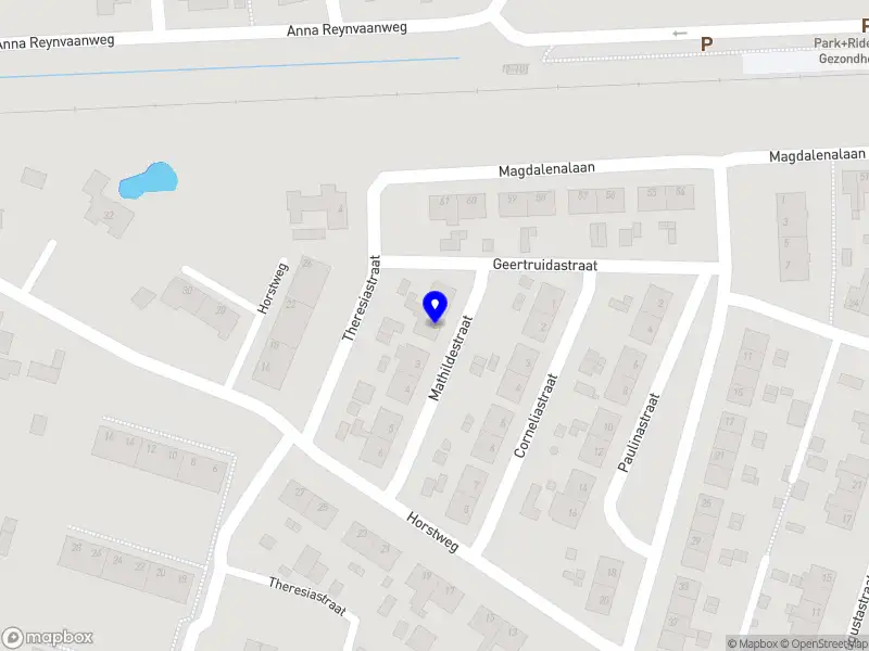 Nieuw bedrijf Frisly