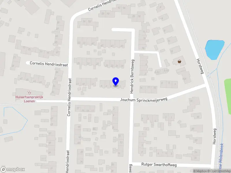 Nieuw bedrijf Zsilversray