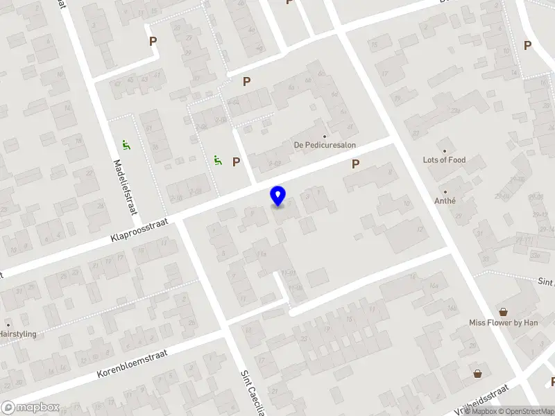 Nieuw bedrijf Ahmadexpress