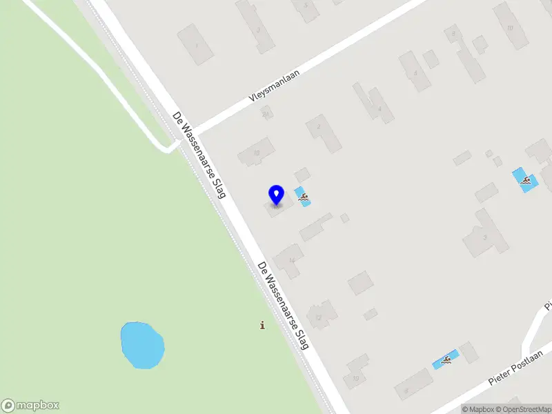 ACE Management & Advies