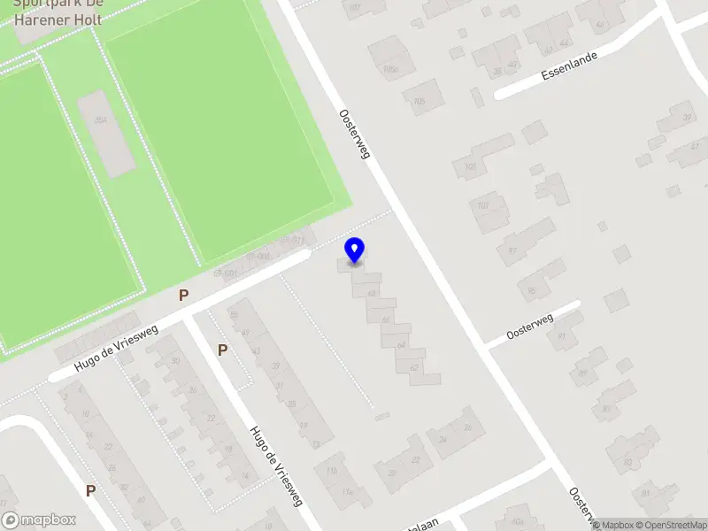 NVVH-Vrouwennetwerk Haren