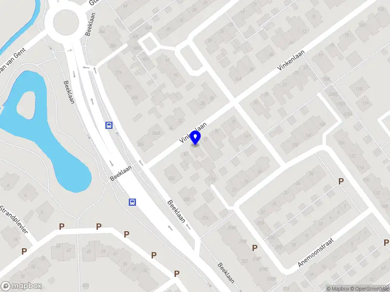 Van Steijn - Onderneming