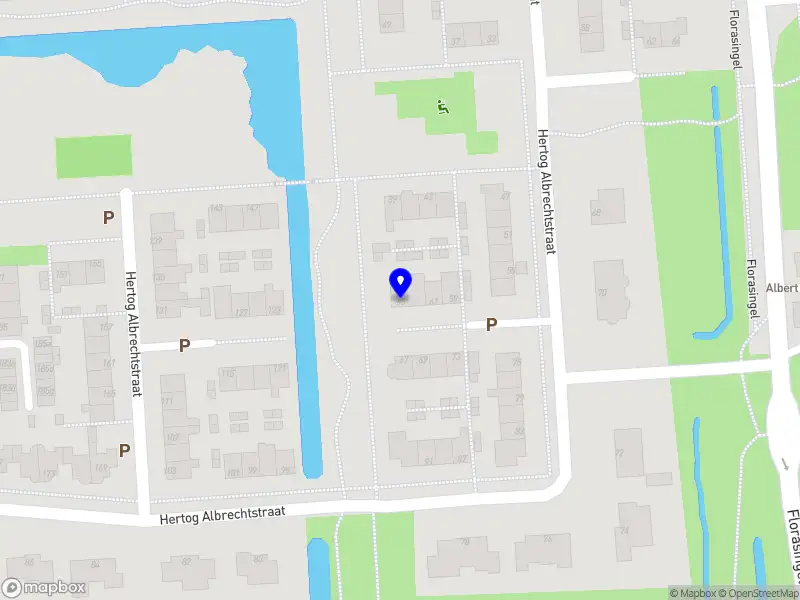 Focus & Gevoel Fotografie