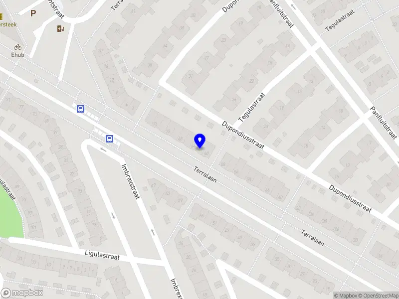 Nieuw bedrijf cine&green