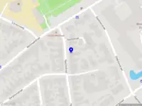 Geisha’s Live Cooking