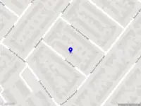 Hondenmassage Hond in Balans