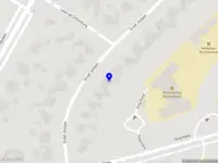 Gelauff Coaching & Advies