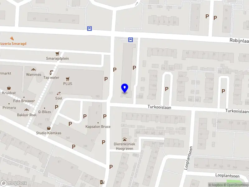 Barron Cultural Projects and Social Research